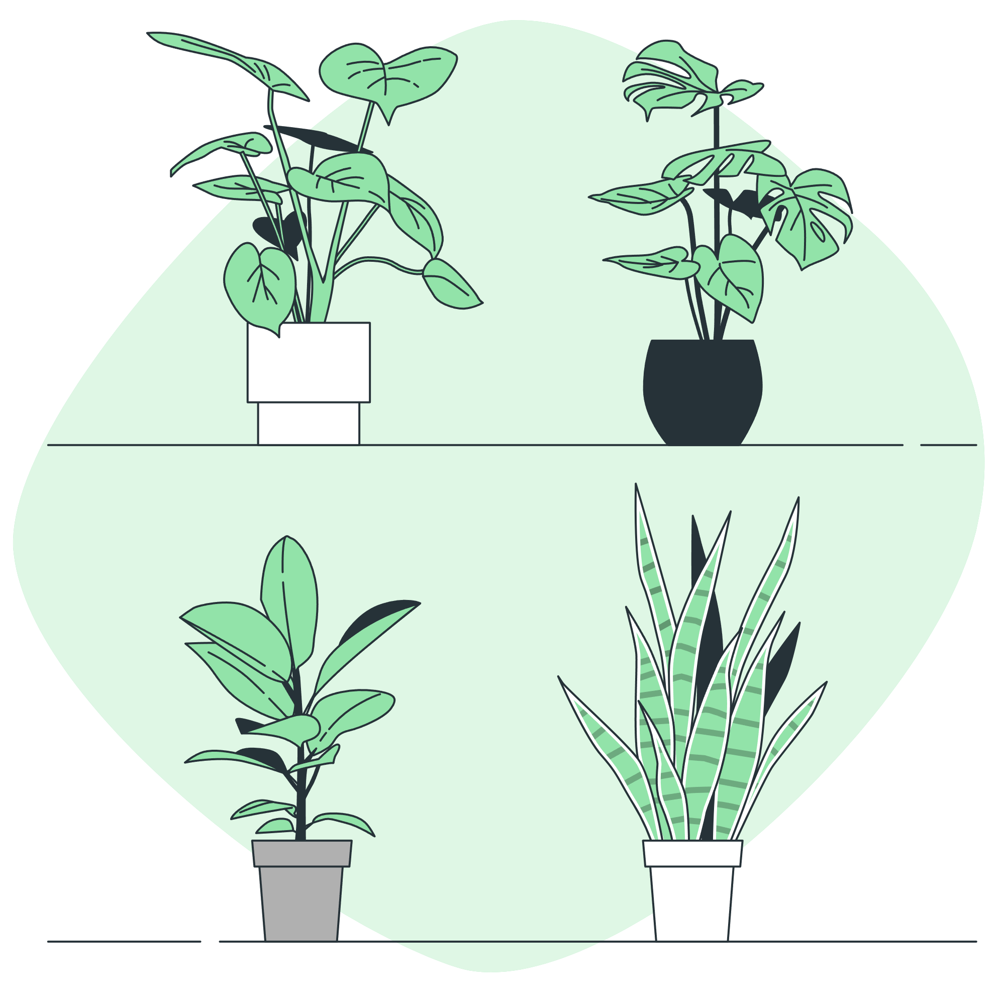 cultivo de hierbas en casa